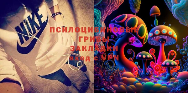 бошки Елизово