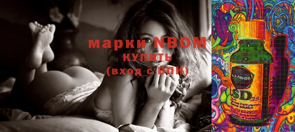 бошки Елизово